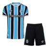 Conjunto (Camiseta+Pantalón Corto) Gremio FBPA 2023-24 Primera Equipación - Niño